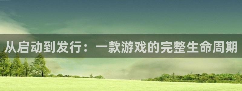 db电竞官网注册平台登录：从启动到发行：一款游戏的完整生命周期
