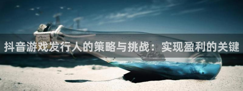 db电竞技术有限公司招聘：抖音游戏发行人的策略与挑战：实现盈利的关键