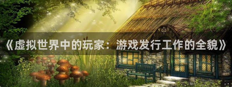 db电竞品牌策划团队介绍：《虚拟世界中的玩家：游戏发行工作的全貌》