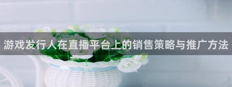 db电竞官网骗局是真的吗：游戏发行人在直播平台上的销售策略与推广方法