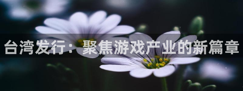 db电竞官网开户待遇：台湾发行：聚焦游戏产业的新篇章