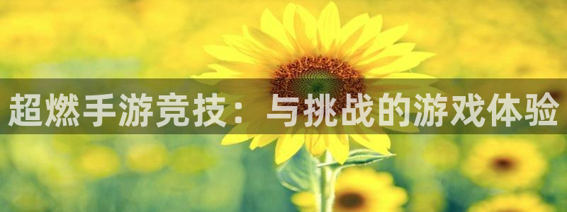 db电竞环境科技有限公司：超燃手游竞技：与挑战的游戏体验