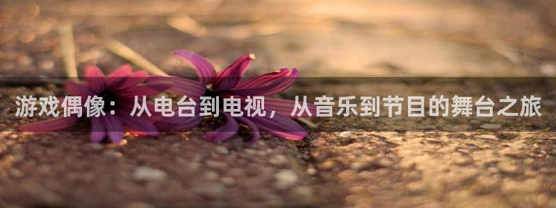 db电竞啤酒怎么样：游戏偶像：从电台到电视，从音乐到节目的舞台之旅