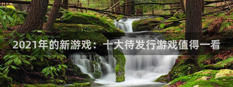 db电竞品牌策划团队介绍