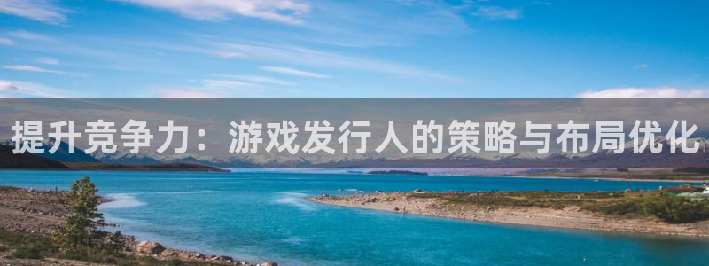 db电竞子公司怎么样可靠吗：提升竞争力：游戏发行人的策略与布局优化