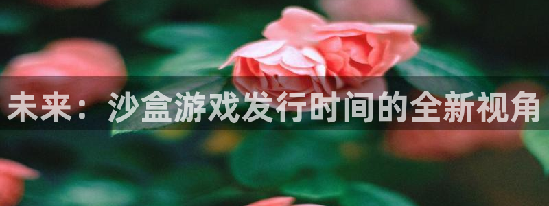 db电竞官网注册平台登录：未来：沙盒游戏发行时间的全新视角