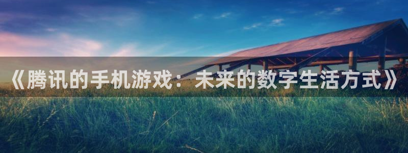 深圳db电竞电商