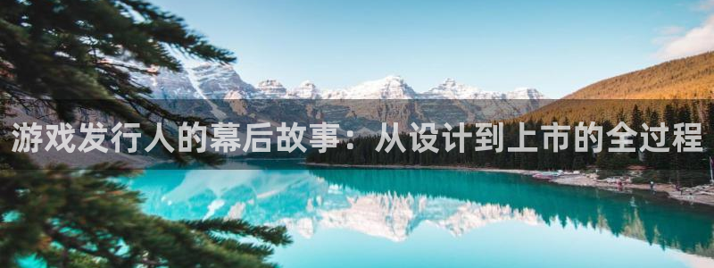 db电竞官网注册地址在哪里：游戏发行人的幕后故事：从设计到上市的全过程