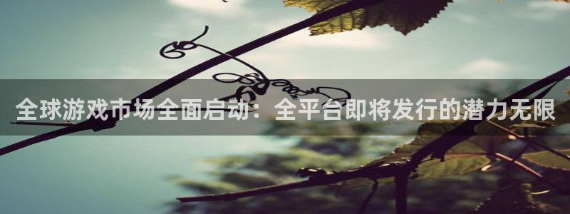 db电竞官网的钱能提出来吗：全球游戏市场全面启动：全平台即将发行的潜力无限