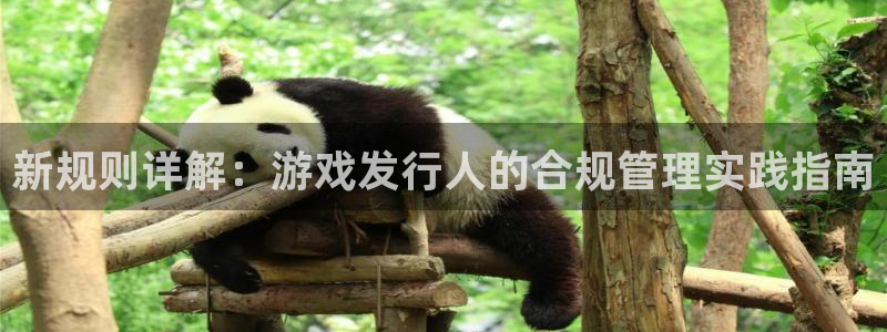 广州db电竞投资管理顾问有限公司：新规则详解：游戏发行人的合规管理实践指南