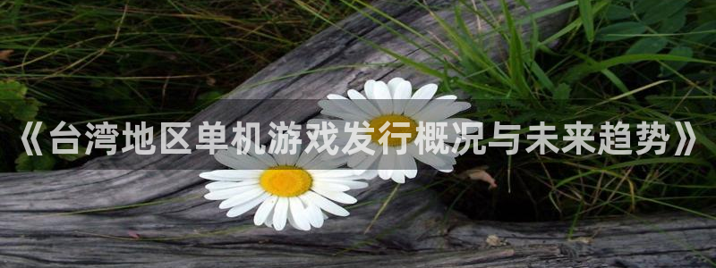 db电竞集团有限公司