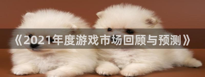db电竞官网注册平台怎么样啊：《2021年度游戏市场回顾与预测》