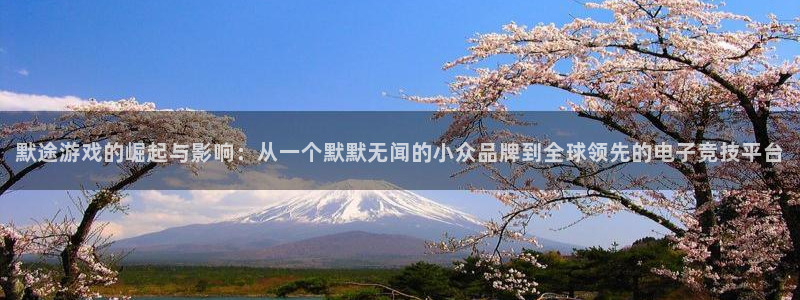 db电竞子怎么来的