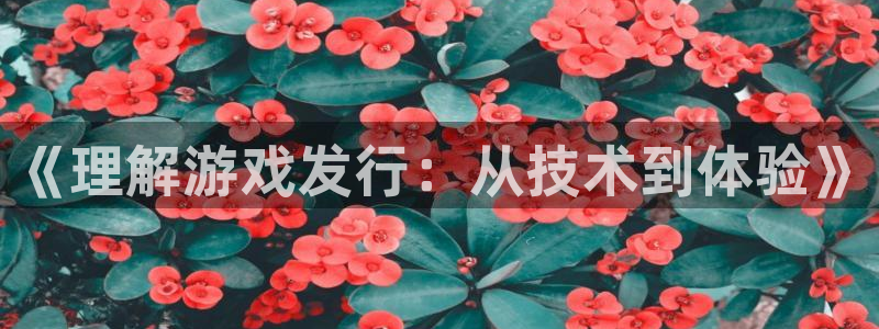 db电竞电子商务怎么样：《理解游戏发行：从技术到体验》