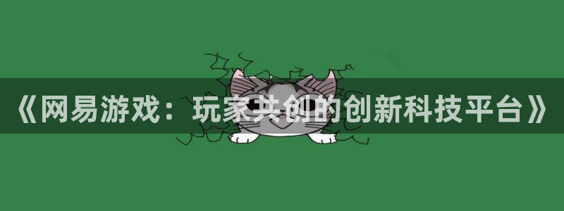 深圳市db电竞科技有限招聘公司：《网易游戏：玩家共创的创新科技平台》