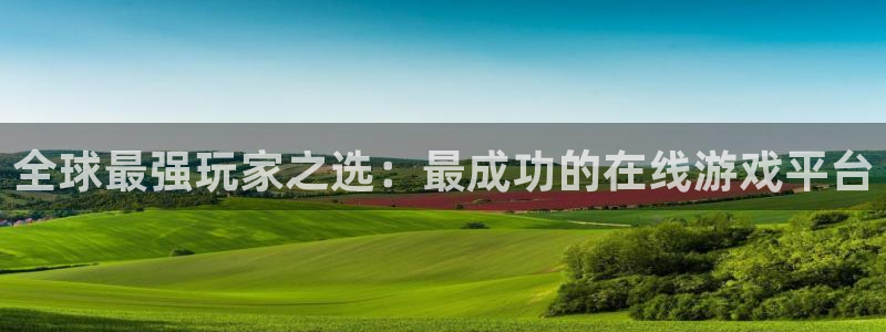 四川db电竞科技有限公司